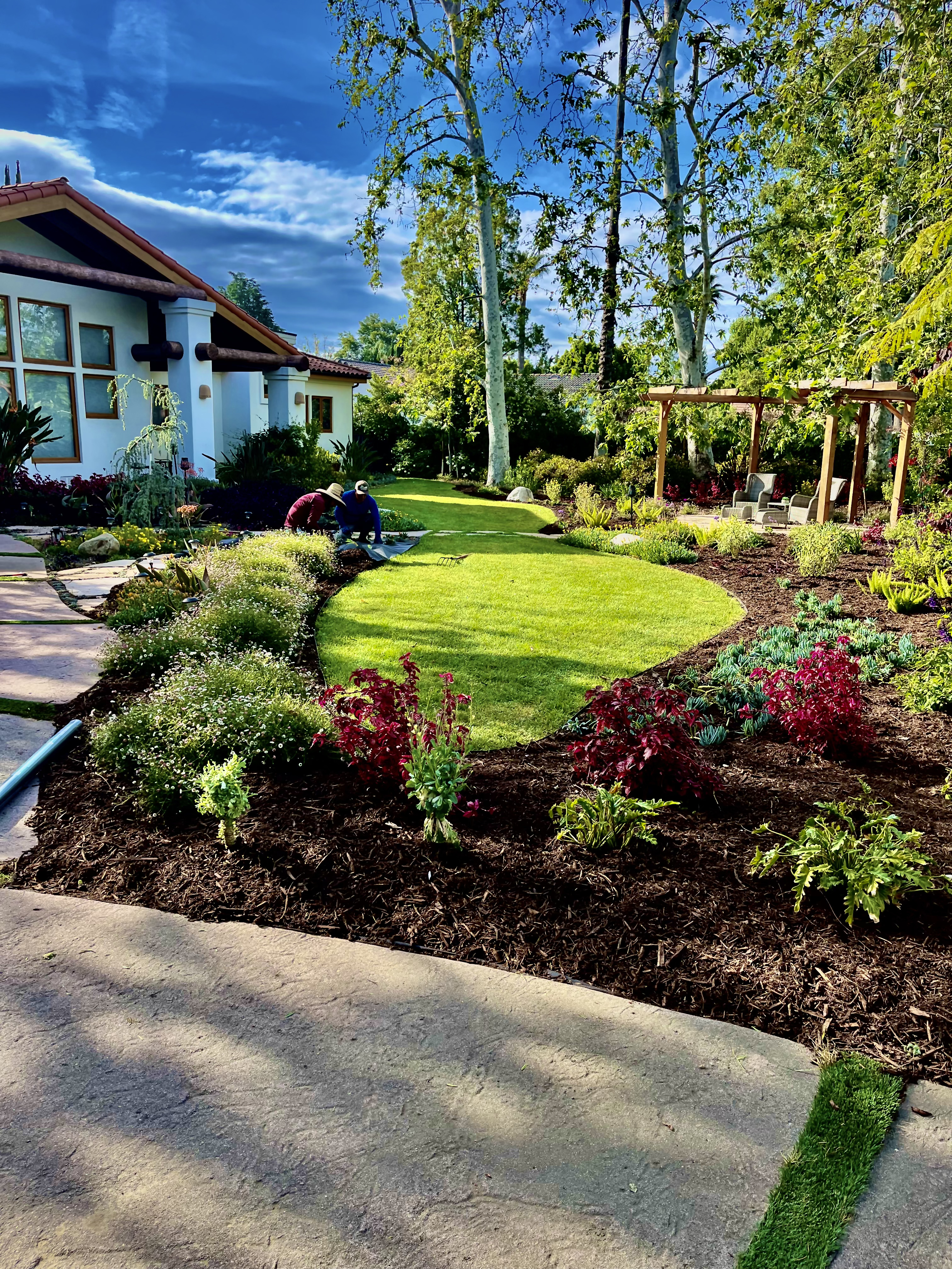 A maintained backyard with mature trees and trimmed shrubs