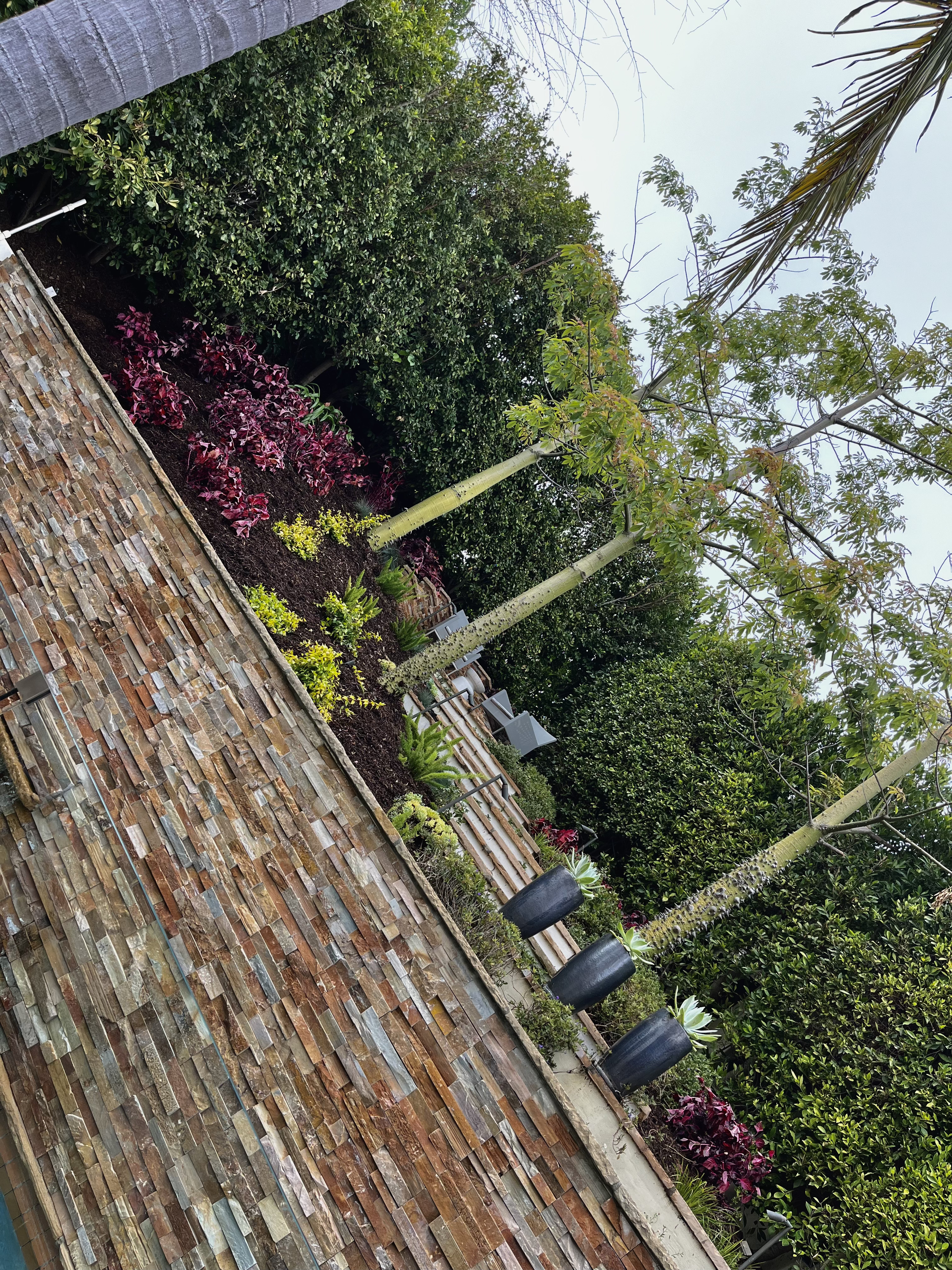 Newly installed landscape with stone pathway and plantings